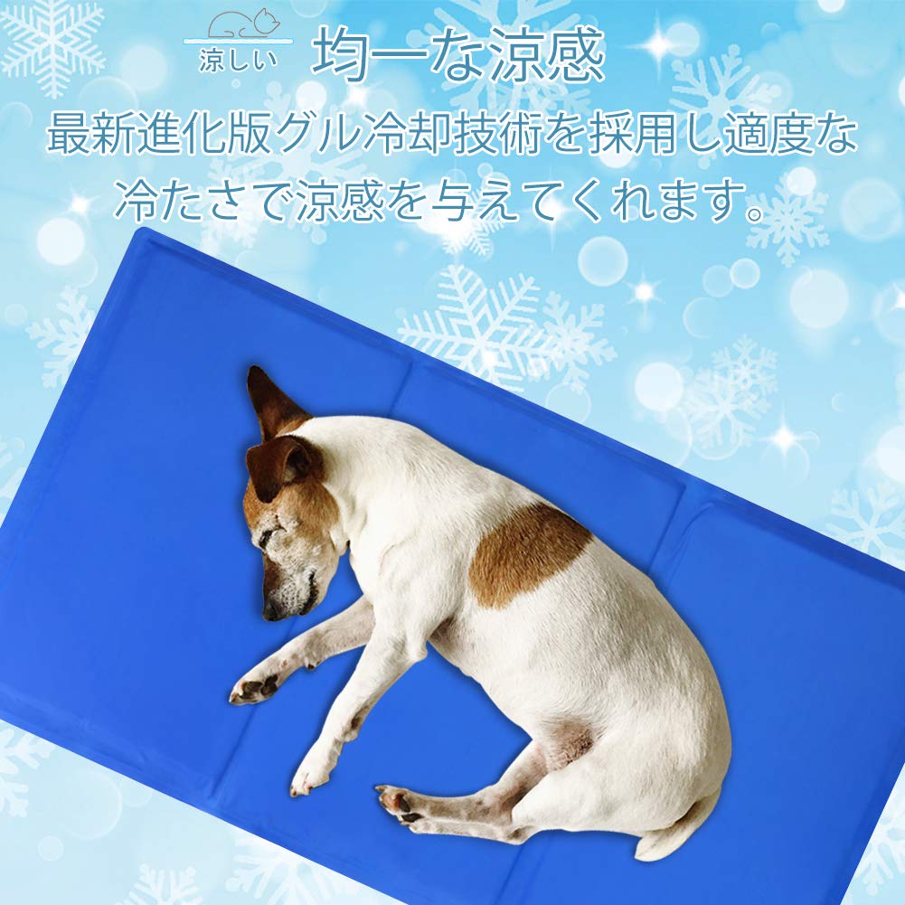 CAMA PERROS COLCHONETA RORO REFRESCANTE DESCANSO RONDON HCC - 7
