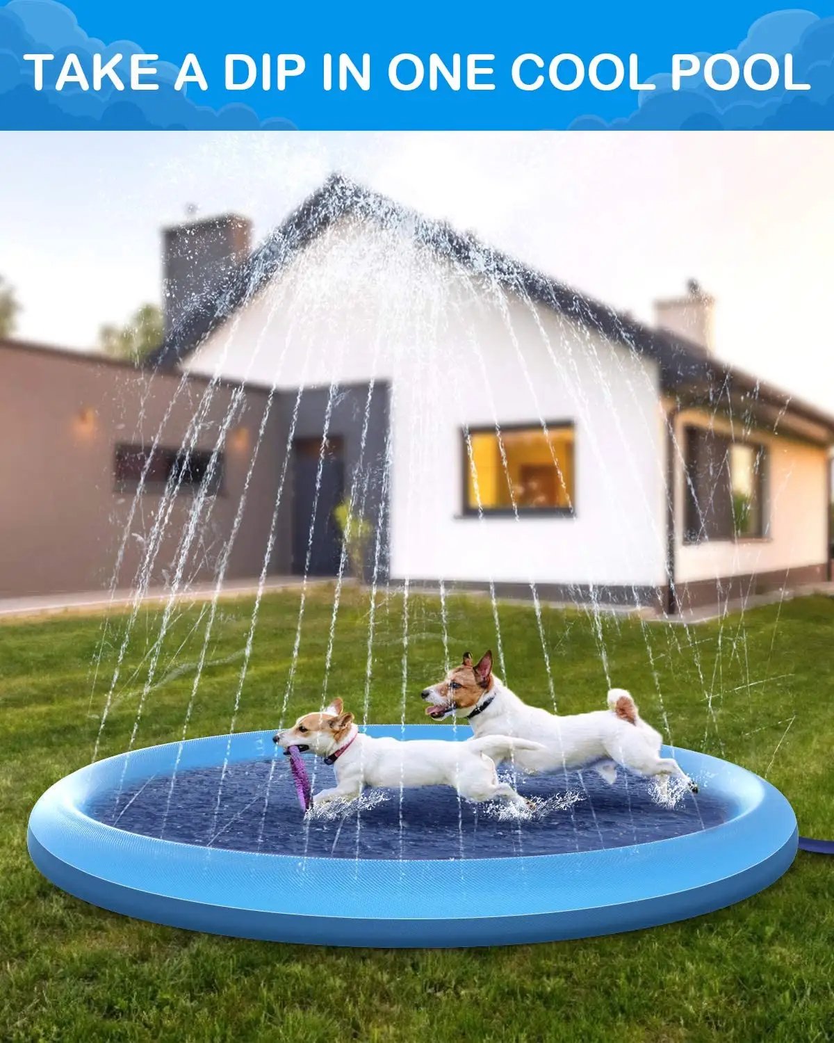 JUGUETE PERROS PISCINA COJN IMPERMEABLE RONDON HCC - 7