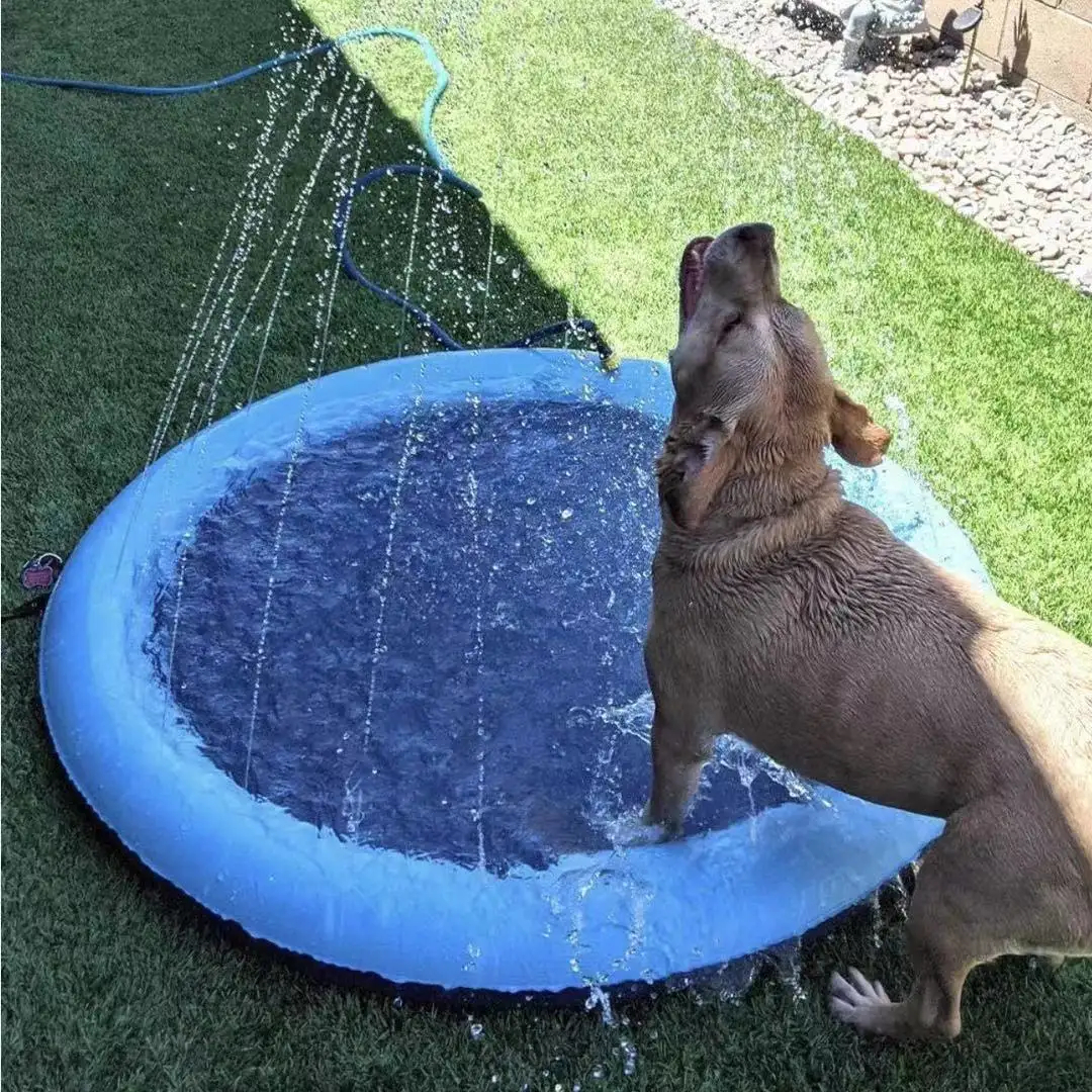 JUGUETE PERROS PISCINA AIRE LIBRE DIVERSION RONDON HCC - 2