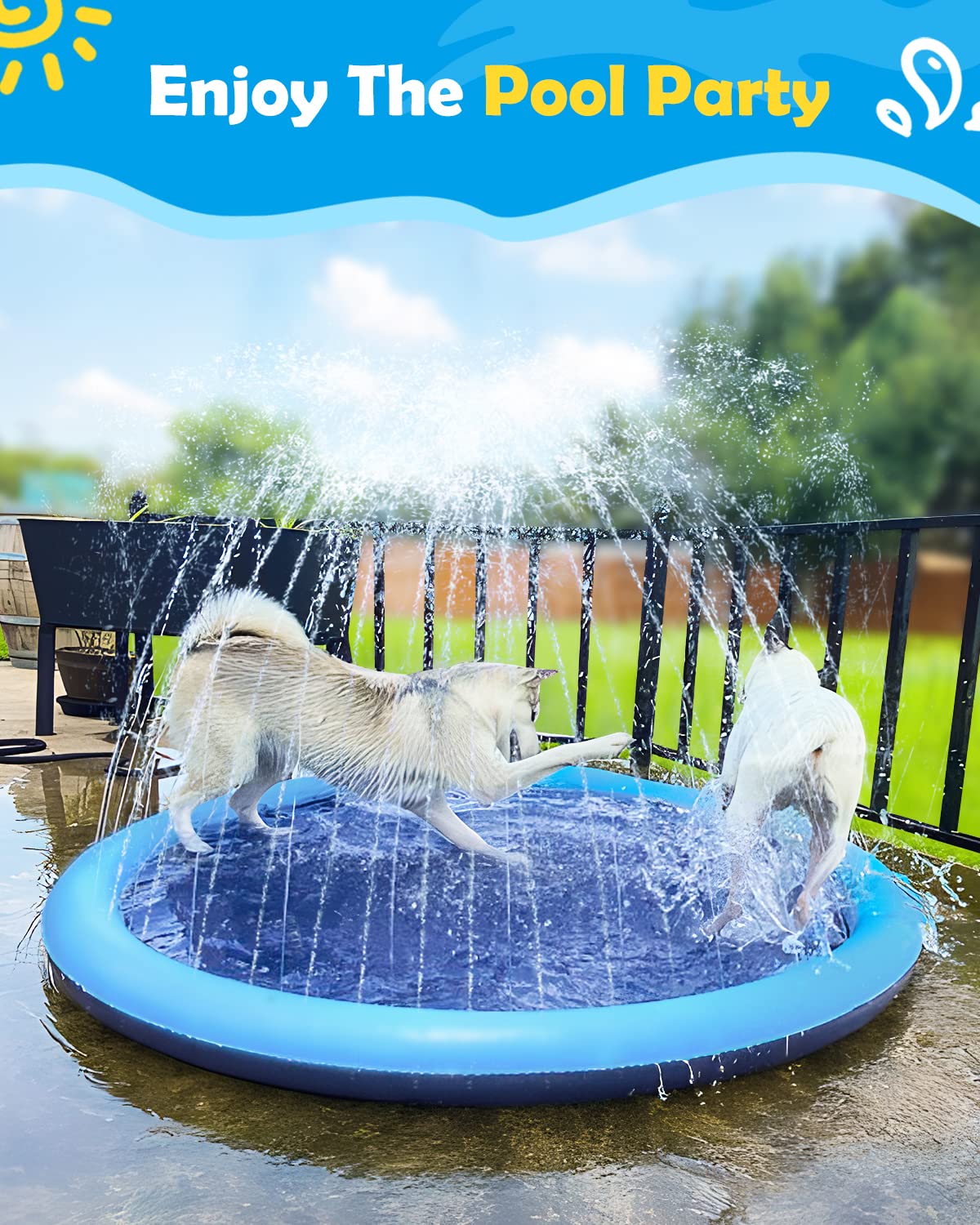 JUGUETE PERROS PISCINA AIRE LIBRE DIVERSION RONDON HCC - 5