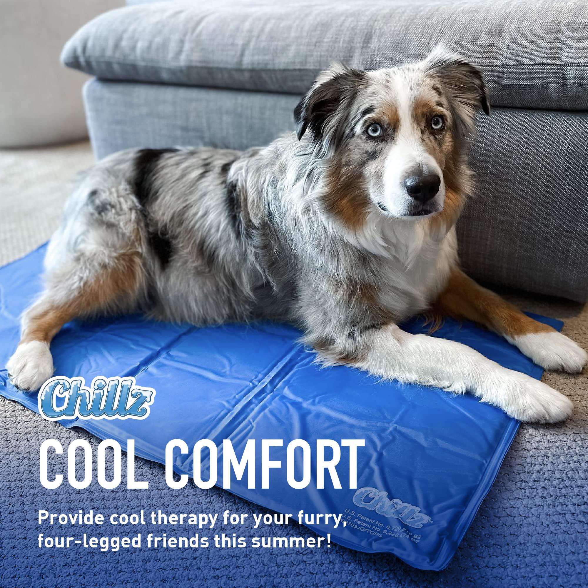 CAMA PERROS ALFOMBRA REFRIGERACION PERSONALIZADO RONDON HCC - 4