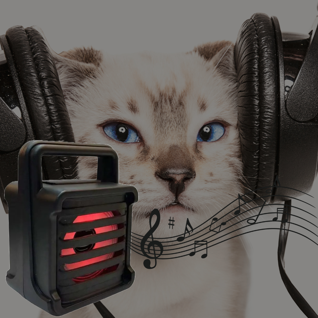 PARLANTE PORTATIL BOCINA BLUETOOTH RADIO FM USB SD RONDON - 3