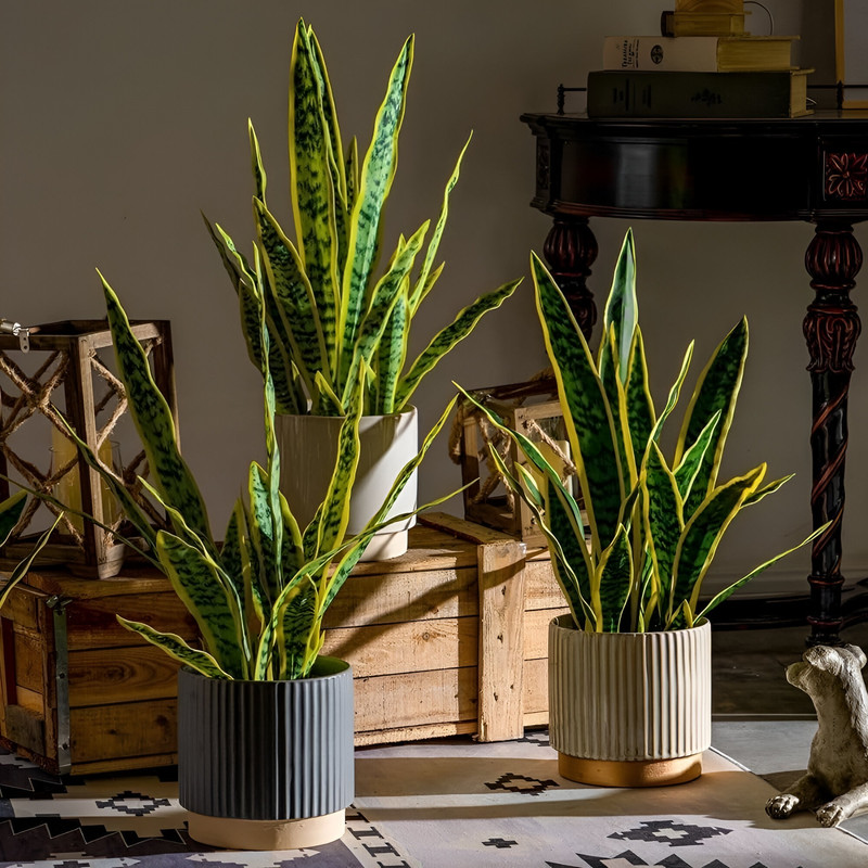 SET 2 FLOR PLANTA SERPIENTE HOGAR JARDIN TIENDA REALISTA LAU - 2