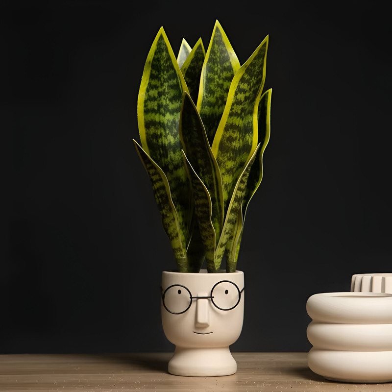 SET 2 FLOR PLANTA SERPIENTE HOGAR JARDIN TIENDA REALISTA LAU - 7
