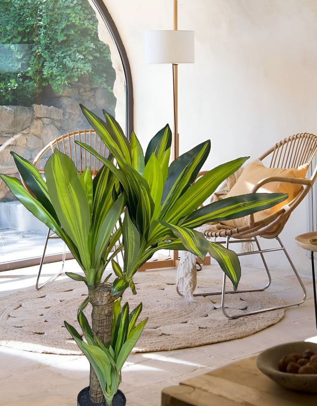 FLOR PLANTA ARTIFICIAL DRACAENA ARBOL DECORACION REAL LAU - 5