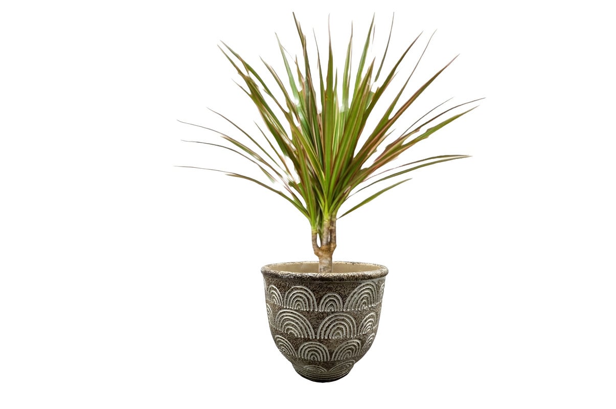 MACETA HORMIGON ARCILLA PLANTAS JARDIN CESPED ADORNO LAU - 3