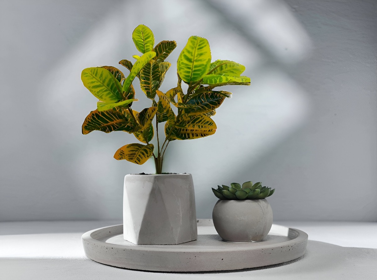 PLANTA ARTIFICIAL CROTÓN DECORACIÓN HOGAR PISO 75CM JHN - 8