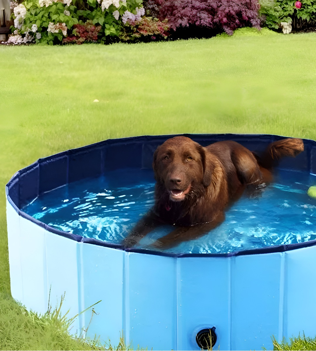 PISCINA PILETA PLEGABLE PARA MASCOTAS Y NIÑOS 120X30CM JHN - 3