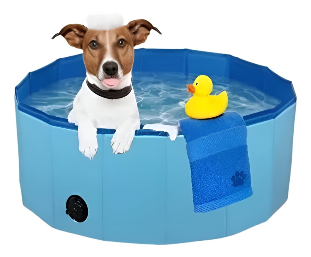PISCINA PILETA PLEGABLE PARA MASCOTAS Y NIÑOS 80X20CM JHN - 3
