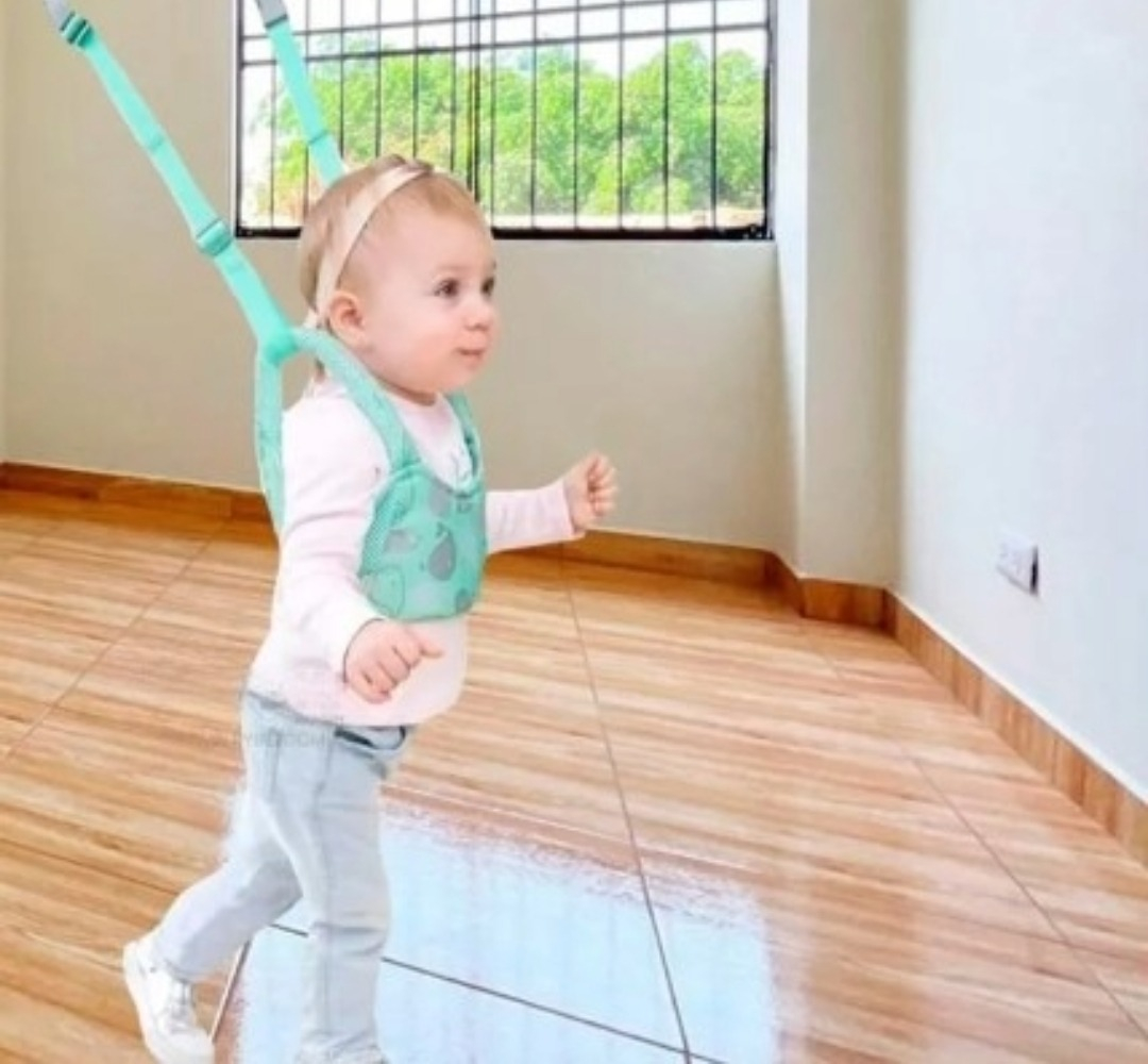 ARNES APRENDER CAMINAR PRIMEROS PASOS PASEO BEBES LAU - 3