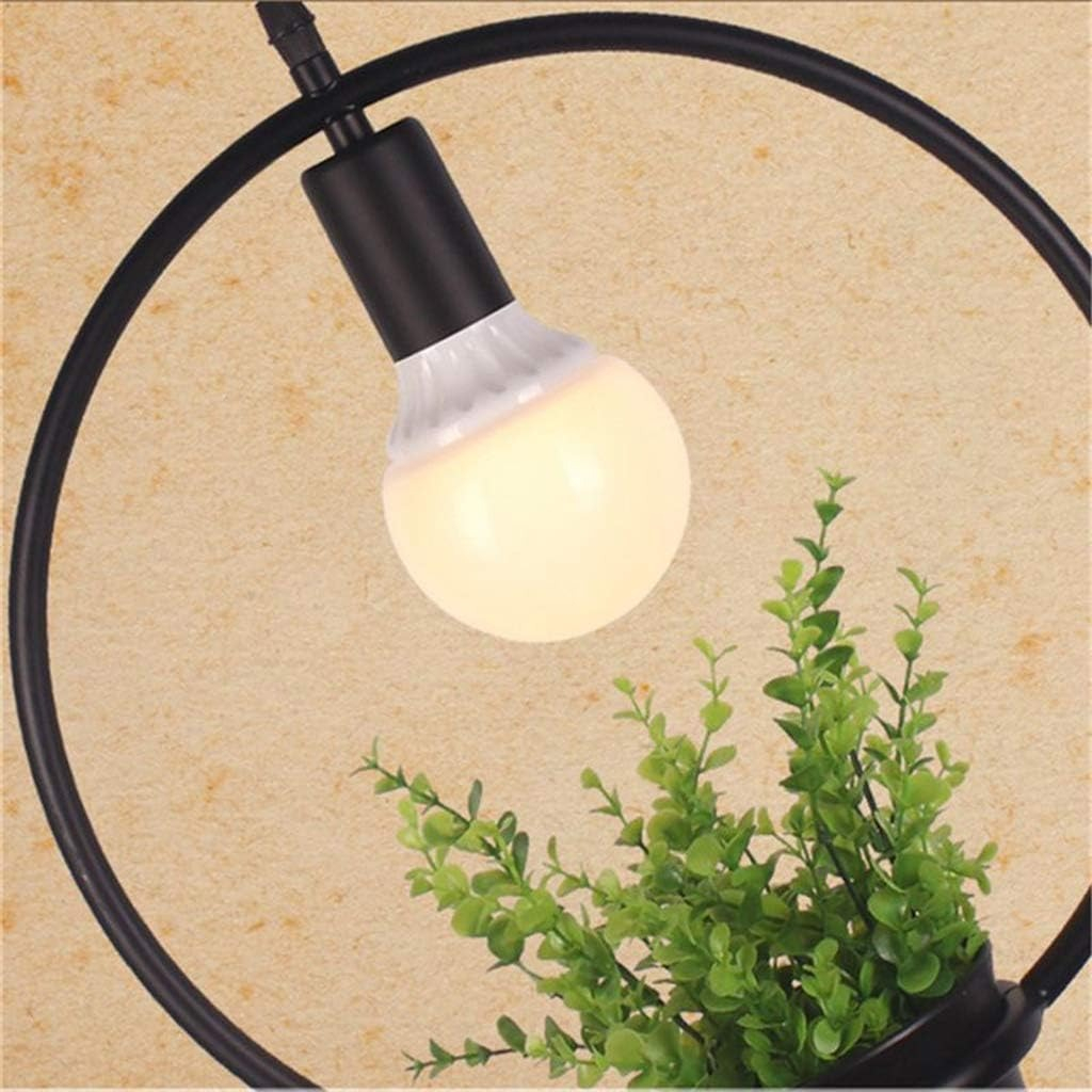 LÁMPARA COLGANTE MODERNA PLANTAS CREATIVO JARDIN HOGAR LAU - 7