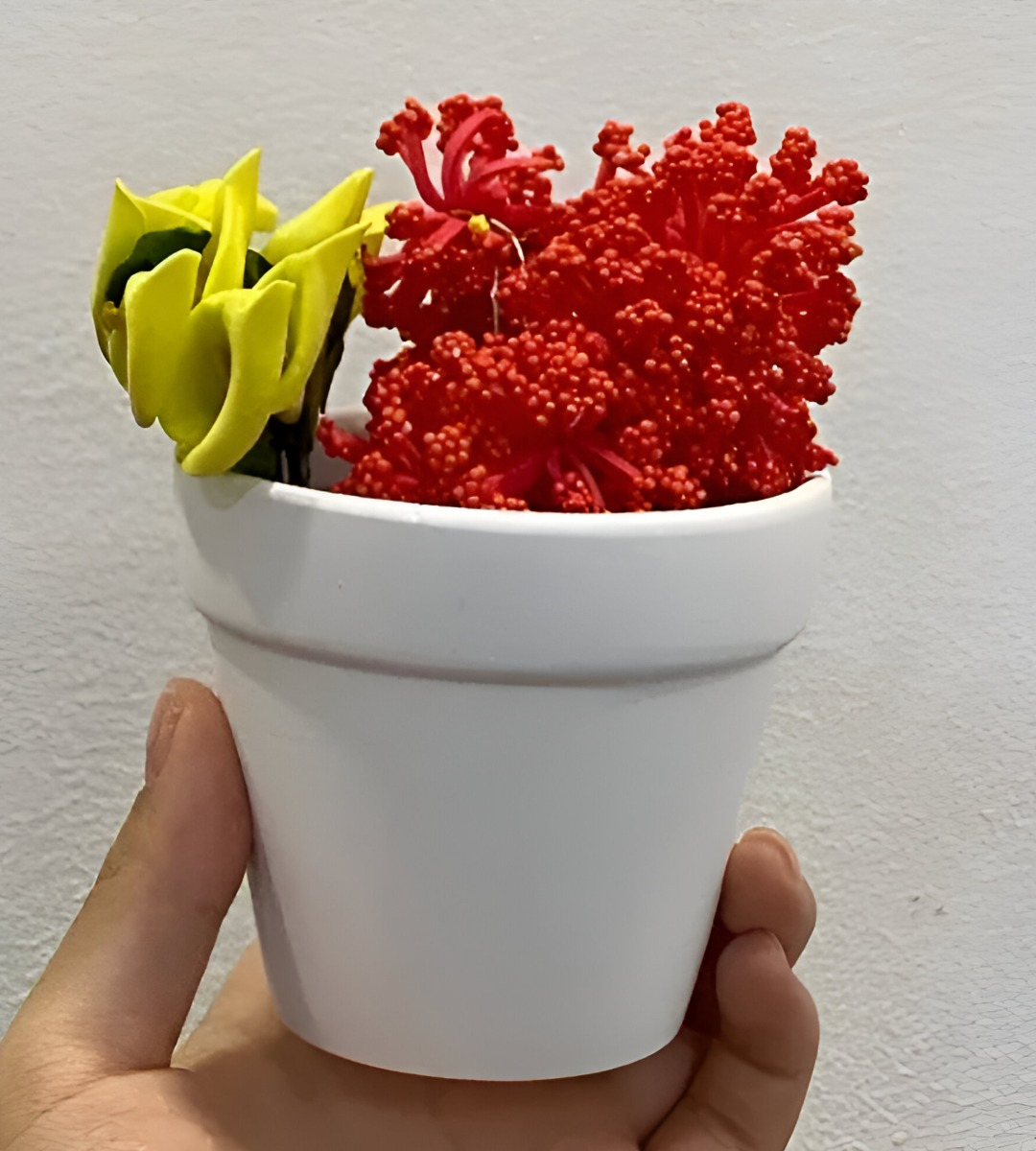 SET 6 MACETERO MINI SUCULENTAS JARDINERÍA CULTIVO JHN - 9