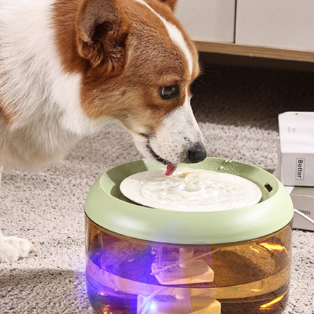 BEBEDERO DE AGUA 2,5L CON LUZ LED MASCOTAS LAU - 2