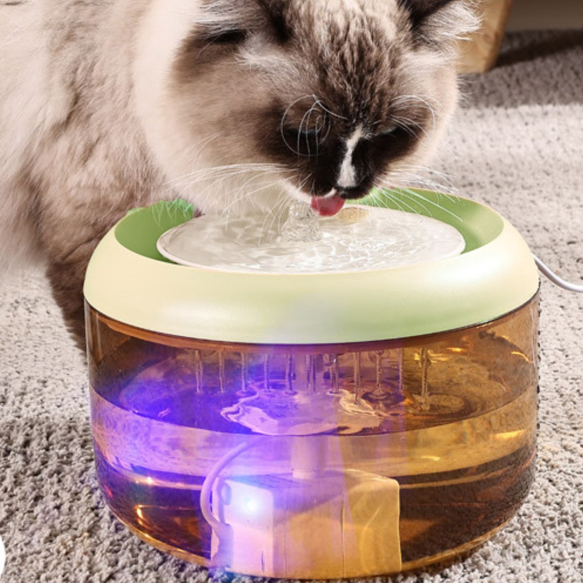 BEBEDERO DE AGUA 2,5L CON LUZ LED MASCOTAS LAU - 6