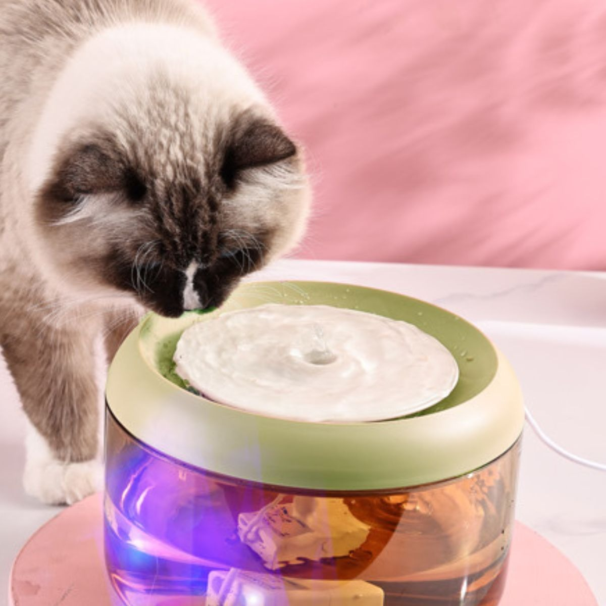 BEBEDERO DE AGUA 2,5L CON LUZ LED MASCOTAS LAU - 7