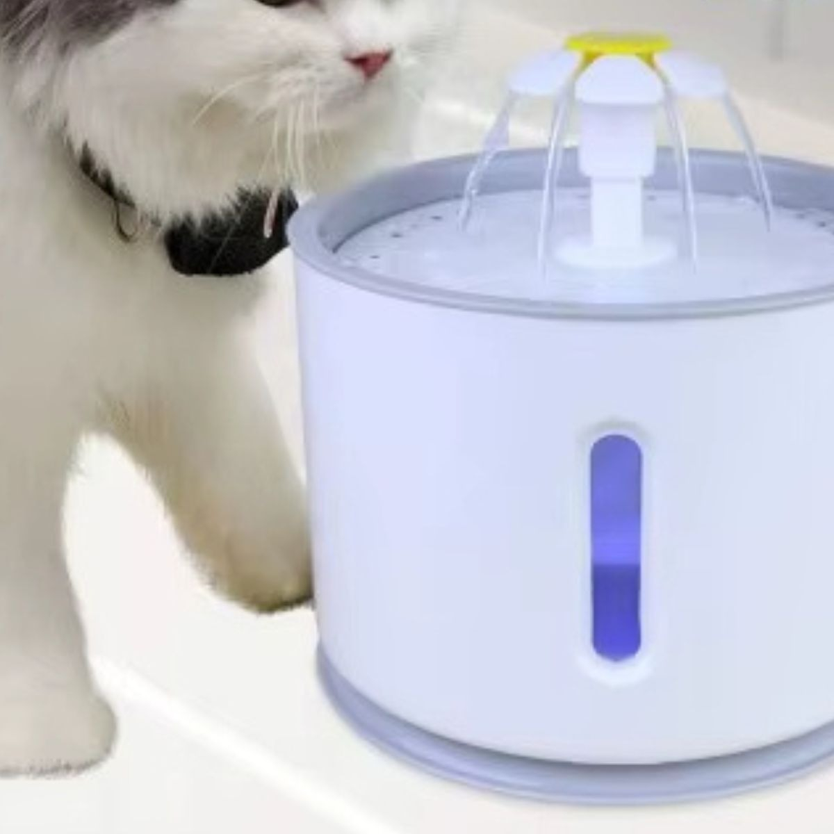 BEBEDERO DE AGUA FUENTE AUTOMATICA PARA MASCOTAS HOGAR LAU - 7