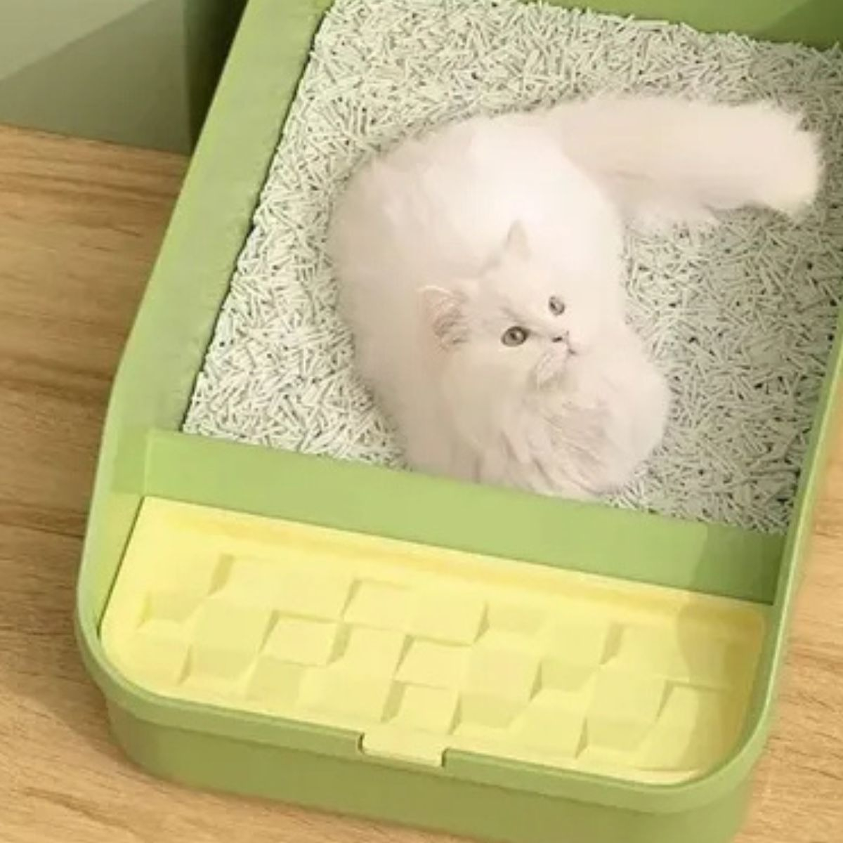 CAJA DE ARENA GRANDE PARA GATOS MASCOTAS HOGAR LAU - 4