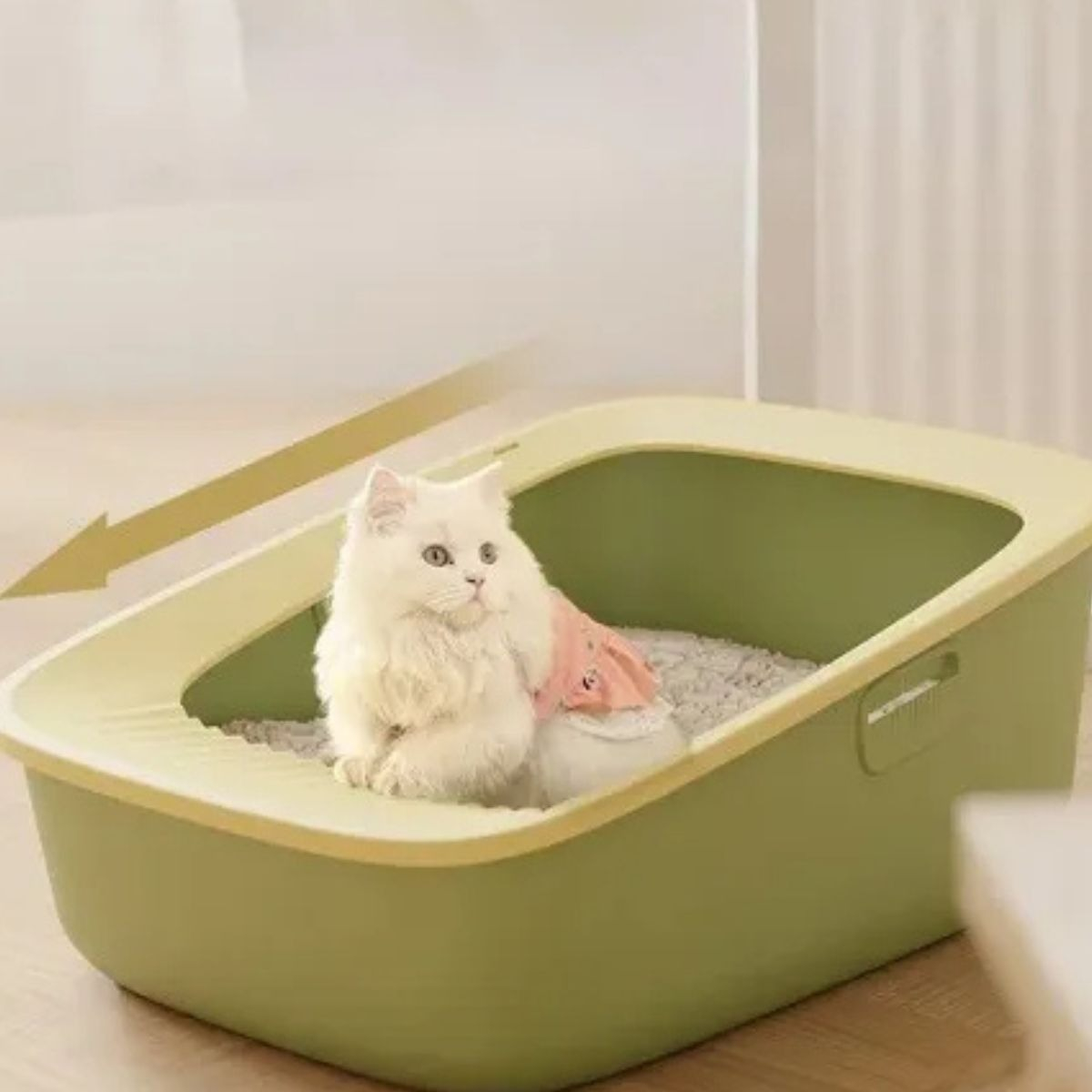 CAJA D ARENA PARA GATOS ASEO HIGIENE MASCOTA GRANDE LAU - 10