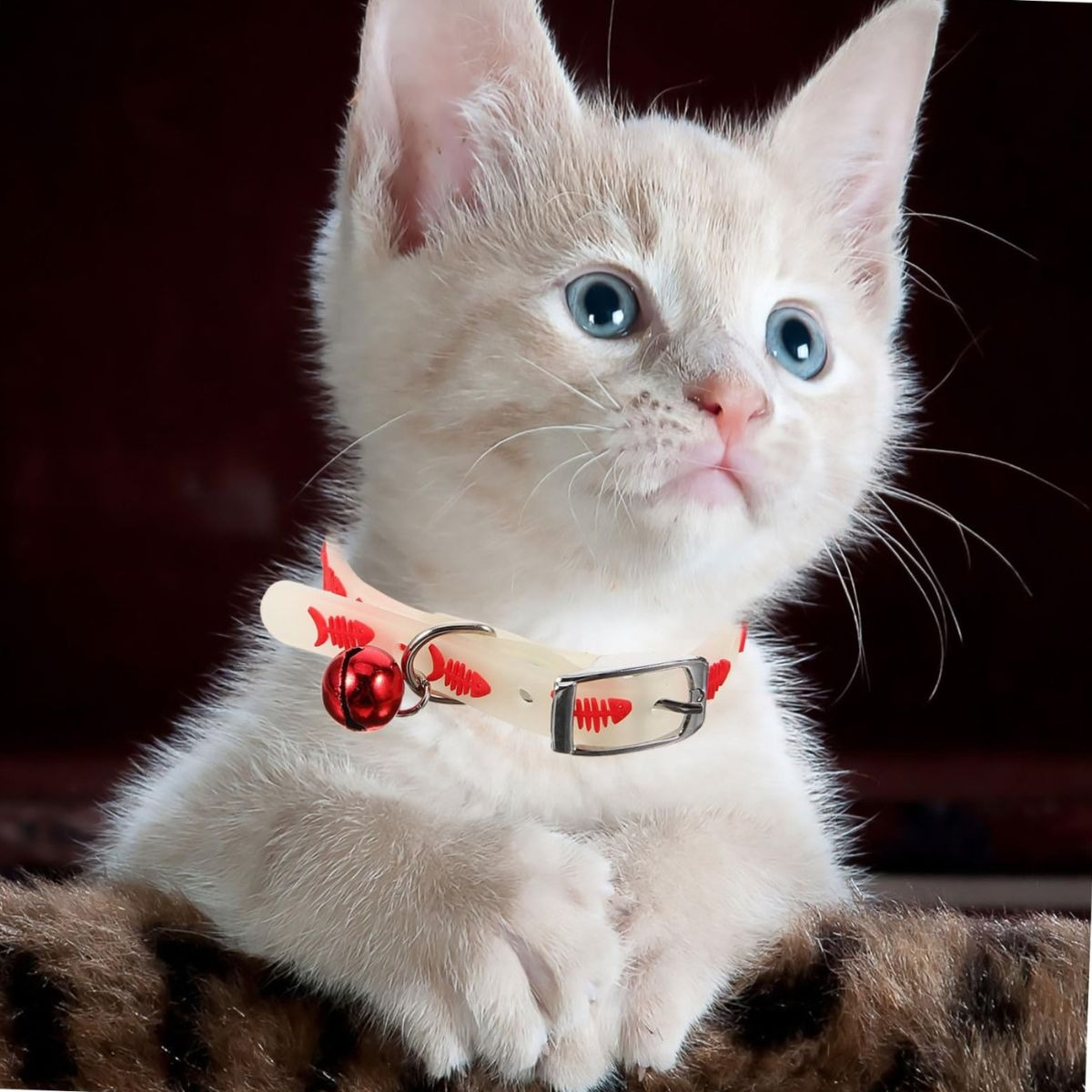 PACK COLLAR DE MASCOTAS BRILLANTE CAMPANA PASEO LAU - 6