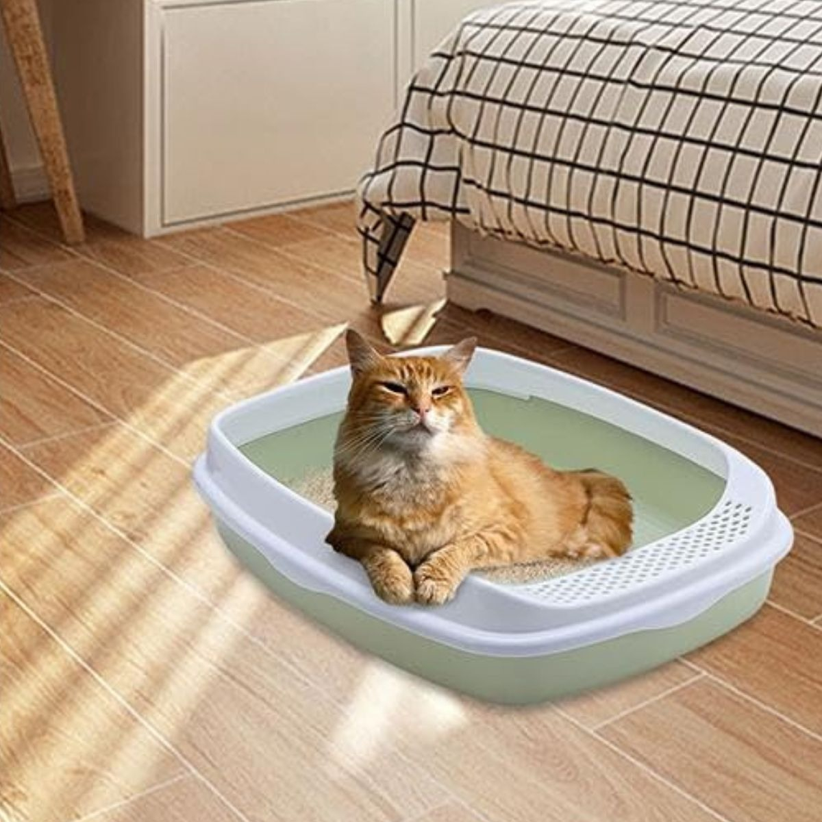 ARENERO BANDEJA DESMONTABLE GATOS MASCOTAS PEQUEÑAS LAU - 8