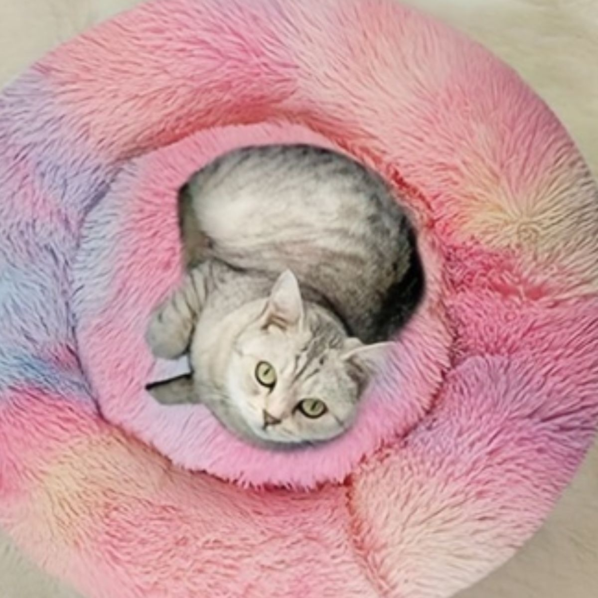 CAMA PARA PERROS ANTIESTRES FELPA 40CM MASCOTAS LAU - 10