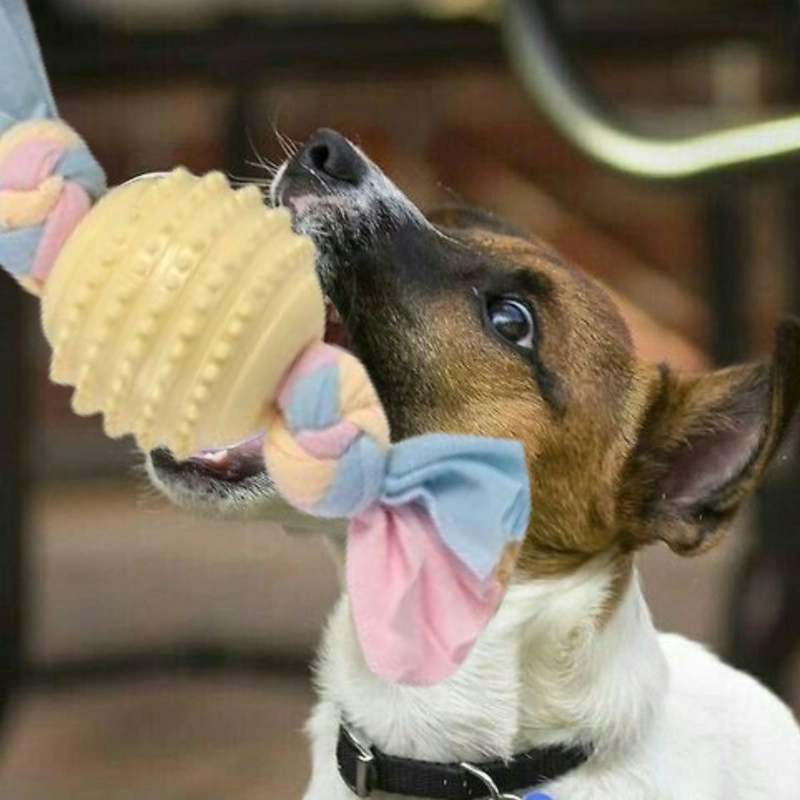 SET 4 JUGUETES DIVERTIDOS GOMA MORDILLO PARA MASCOTAS LAU - 5