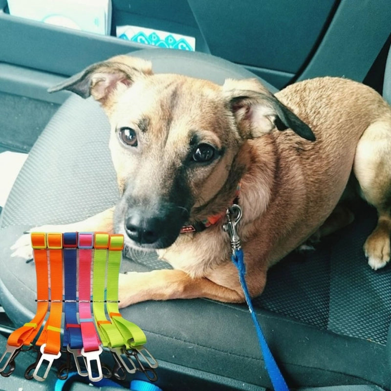 PACK DE CINTURON DE SEGURIDAD PARA MASCOTA LAU - 7