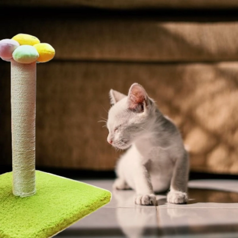 RASCADOR PARA GATOS FORMA DE FLOR MASCATOS LAU - 3