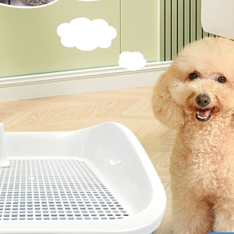 BAÑO SANITARIO INODORO PARA MASCOTAS ENTRENAMIENTO LAU - 6