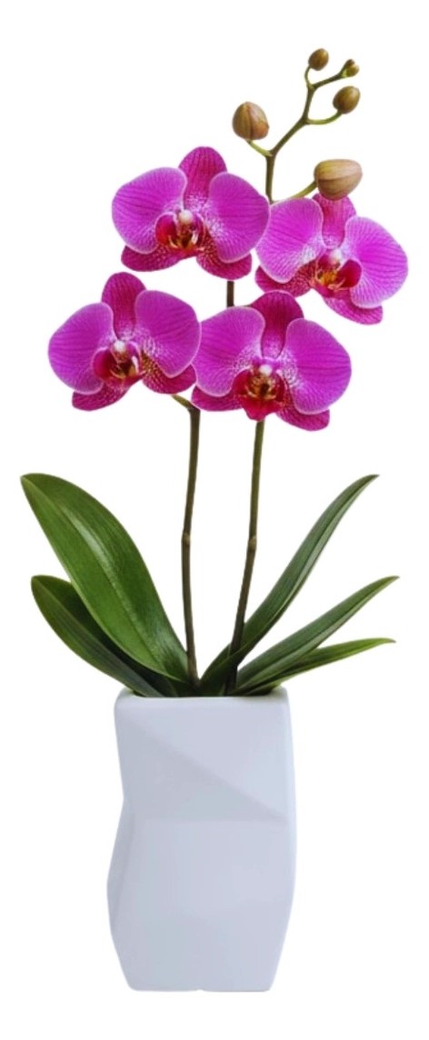 FLORERO DECORATIVO JARRON SILUETA ESCULTURAL MODERNO JHN - 3