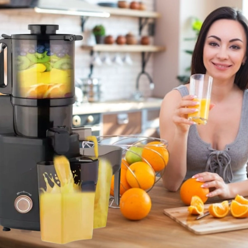 MAQUINA EXTRACTOR/EXPRIMIDOR FRUTAS 250W MODERNO COCINA LAU - 1