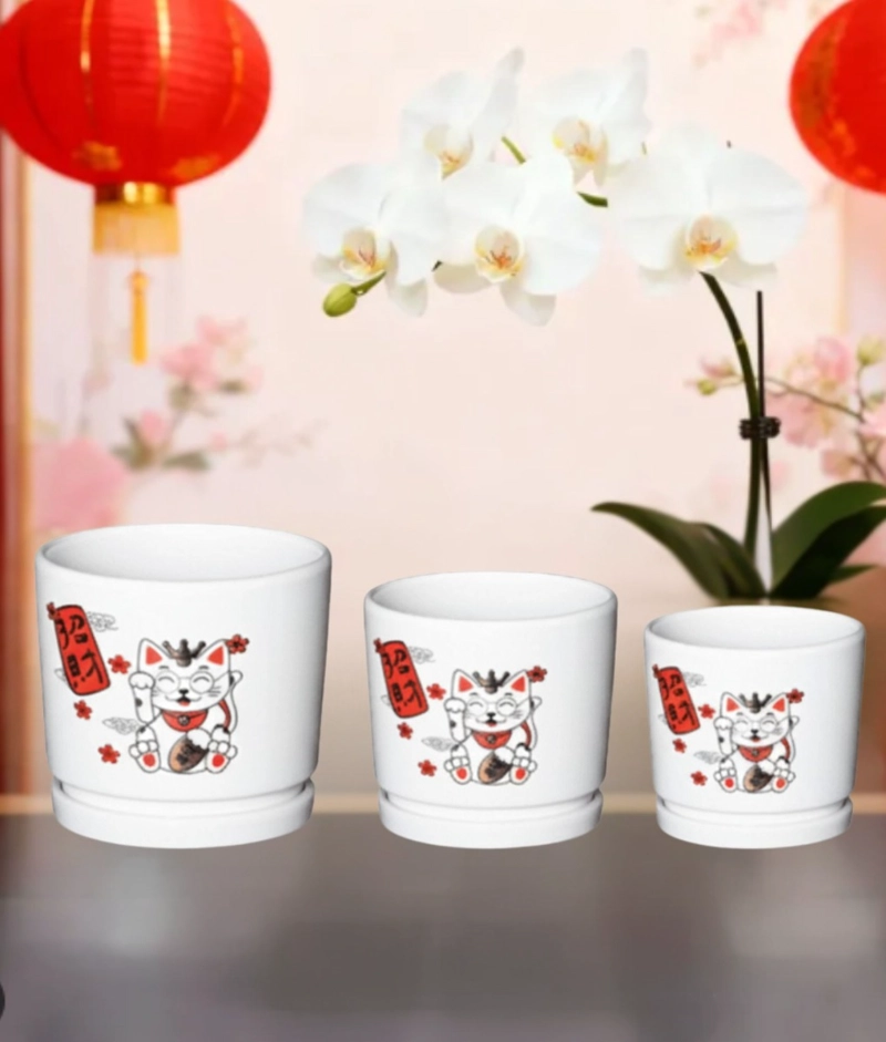 SET 3 MACETERO DECORATIVO DISEÑO GATO SUERTE ARMONIA JHN - 5