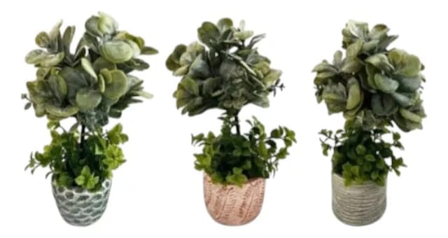 PLANTA DECORATIVA ARTIFICIAL ESTILO BOJ SUCULENTA ADORNO JHN - 2