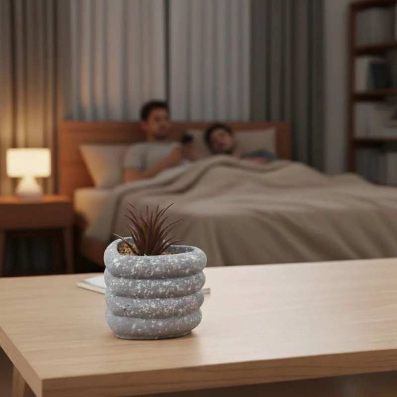SET 2 PLANTA ARTIFICIAL DECORATIVA CORAZON ESTILO PIEDRA JHN - 3
