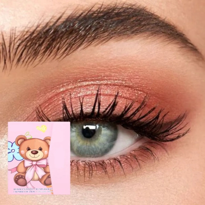 PAQ 12 PALETAS MAQUILLAJE COMPLETA PROFESIONAL ROSTRO ALJ - 5