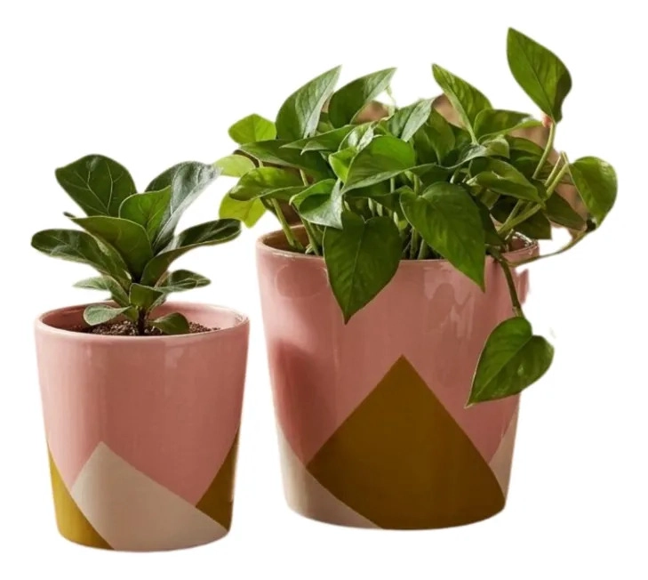 SET 2 MACETAS MODERNAS GEOME TRICAS SUCULENTAS CACTUS ALJ - 2