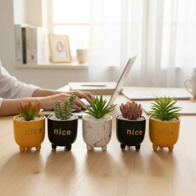 SET 2 MACETAS DECORATIVAS FRASES PLANTAS SUCULENTAS ALJ - 5