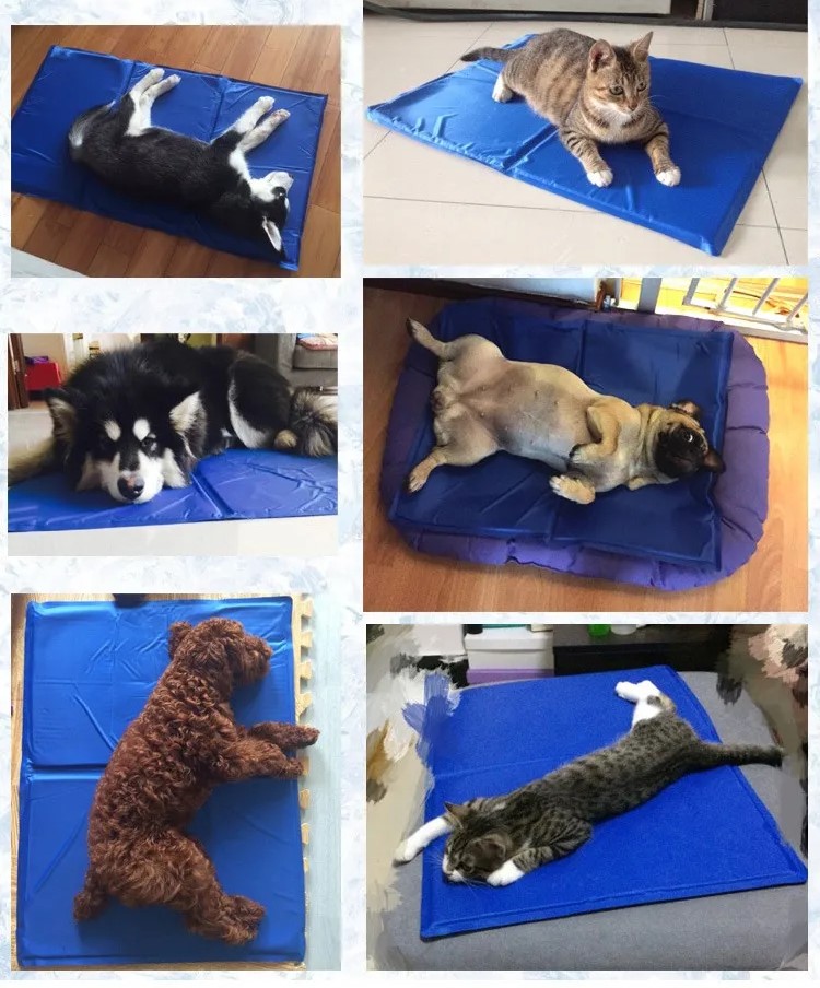 ALFOMBRILLA PERROS REFRIGERACION CALIDAD MANTA VERANO RONDON HCC - 8