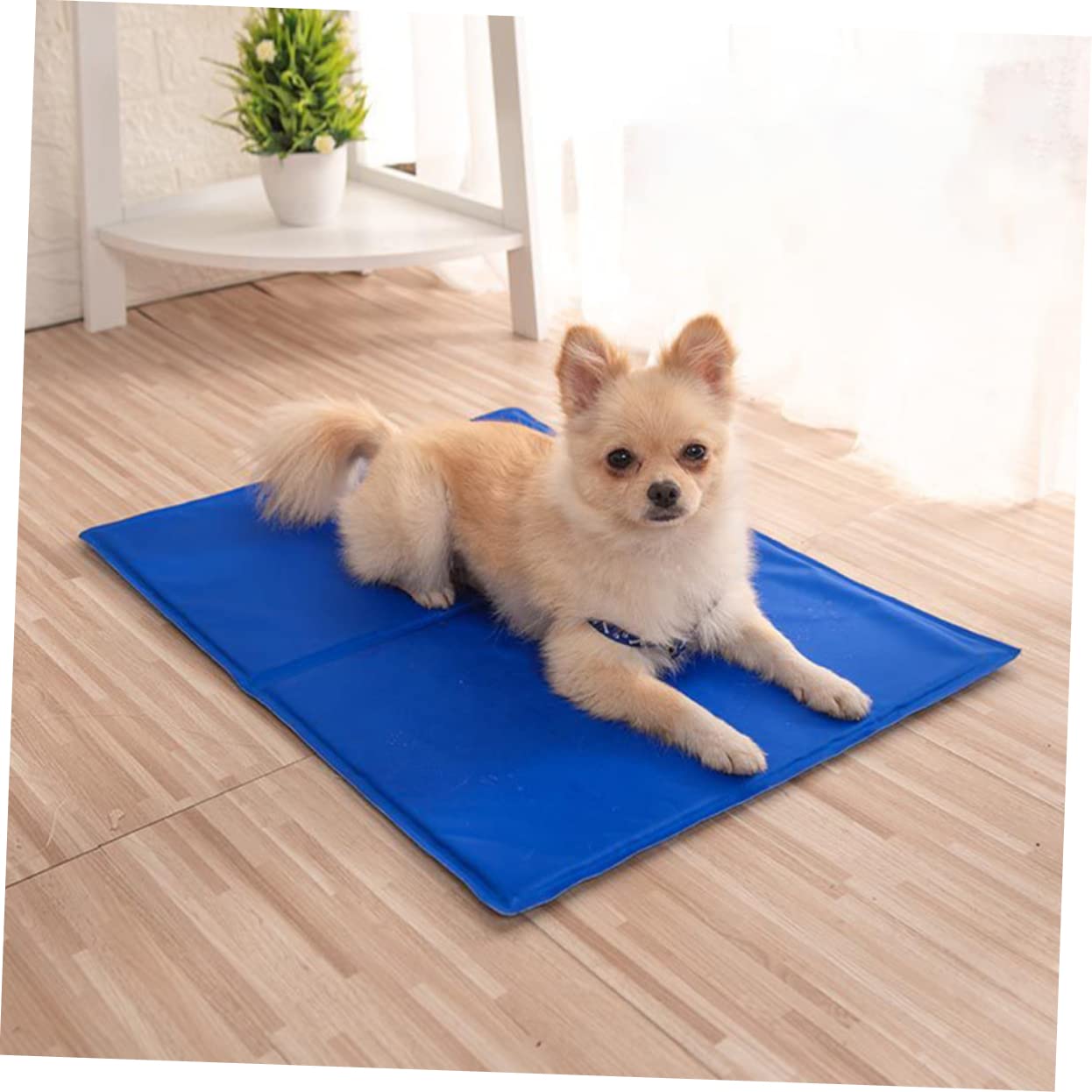 CAMA PERROS COLCHONETA RORO REFRESCANTE DESCANSO RONDON HCC - 8
