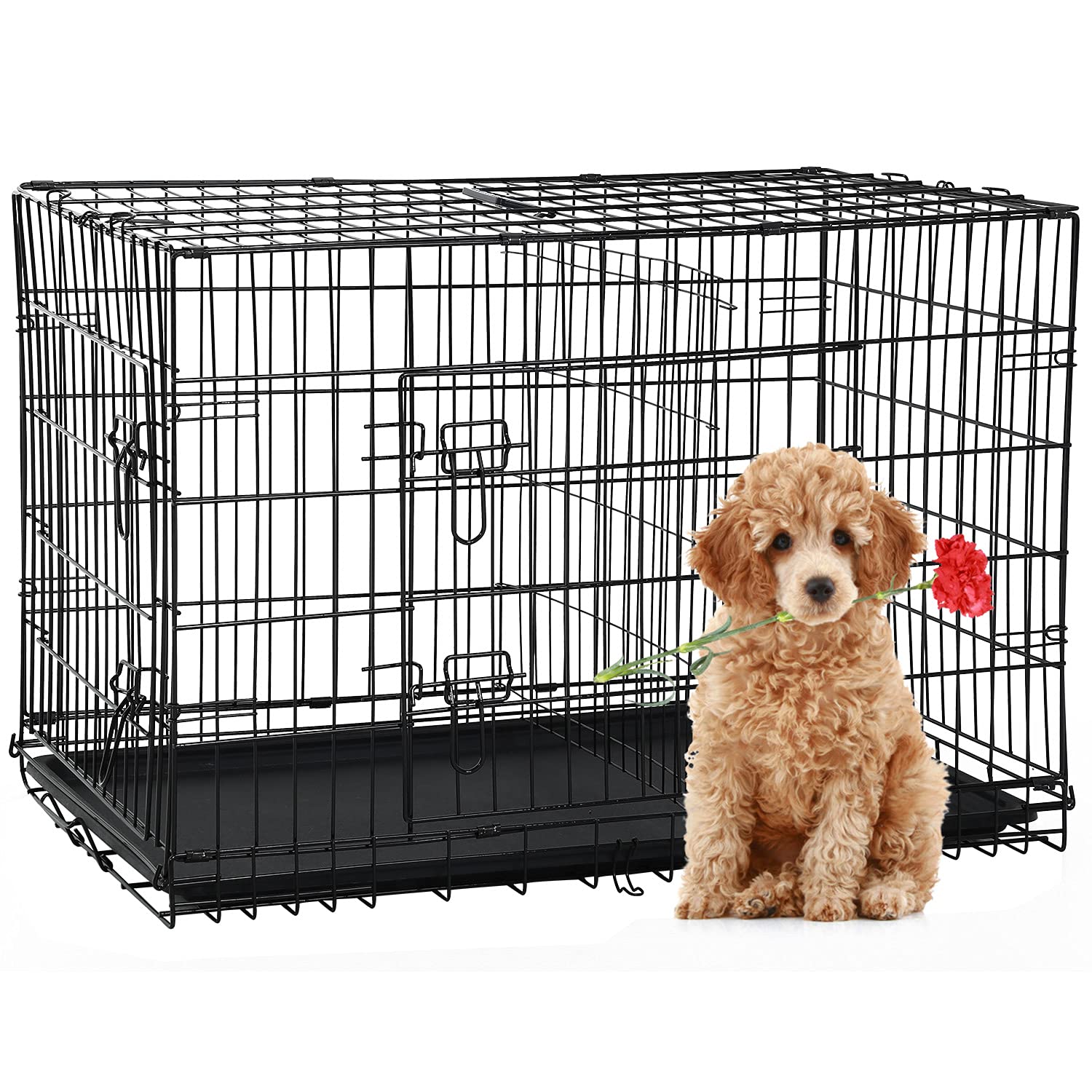 JAULA TRANSPORTADORA PERROS PLEGABLE COMPAÑIA PORTATIL RONDON HCC - 8