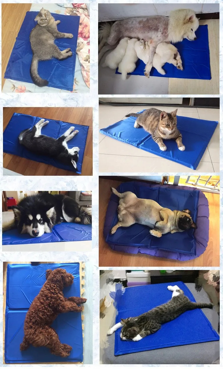 CAMA PERROS ALFOMBRA REFRIGERACION PERSONALIZADO RONDON HCC - 5
