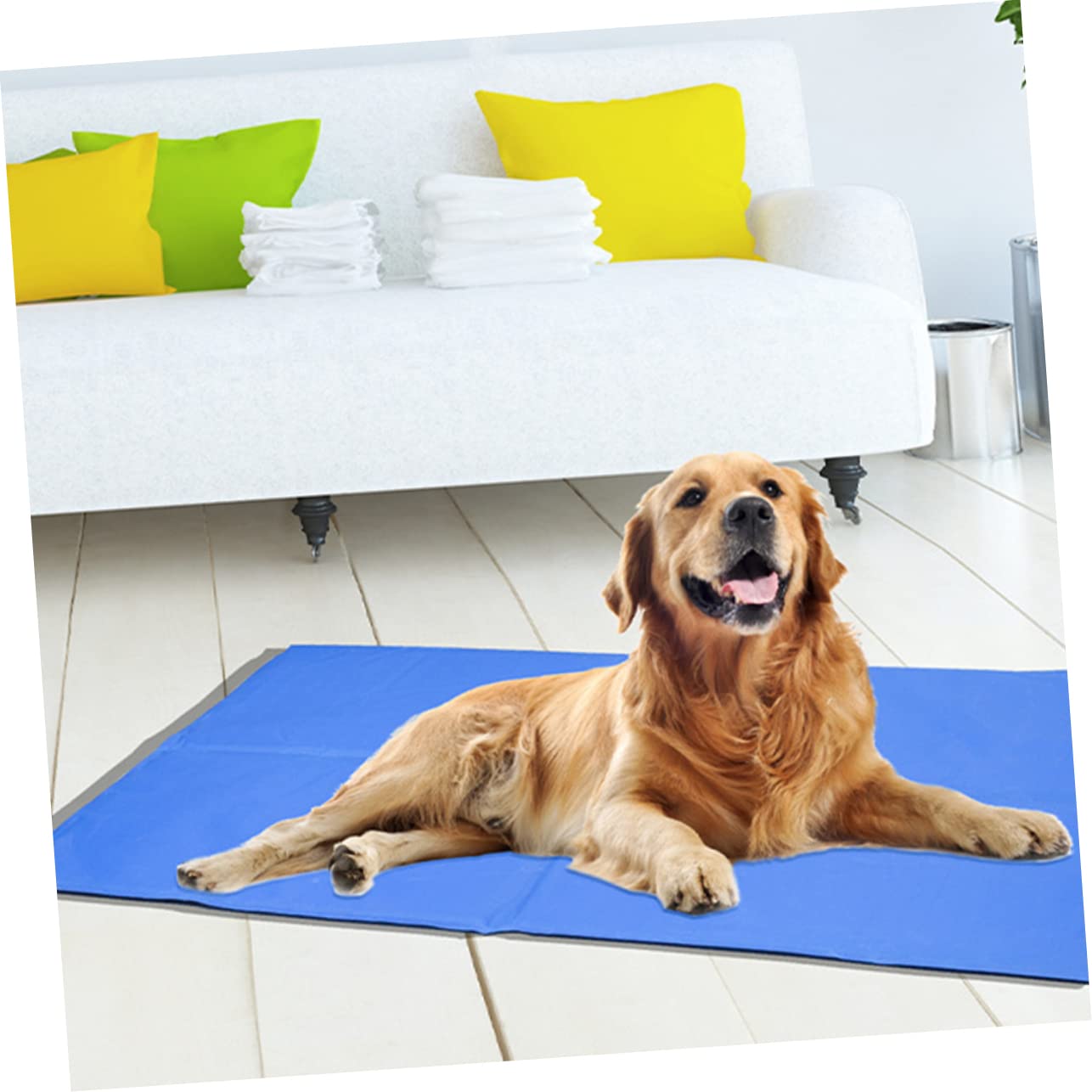 CAMA PERROS ALFOMBRA REFRIGERACION PERSONALIZADO RONDON HCC - 8