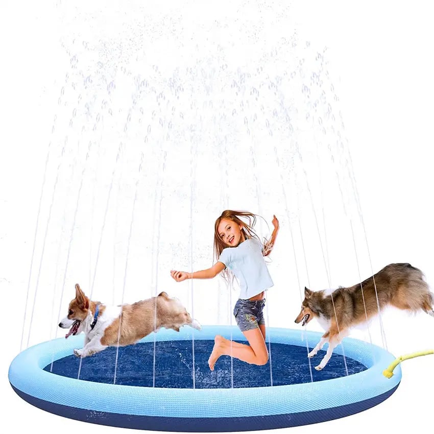 JUGUETE PERROS AGUA PATIO TRASERO VERANO RONDON HCC - 2