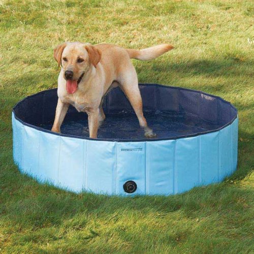 JUGUETE PERROS PISCINA ULTIFUCACIONAL PRUEBA AGUA RONDON HCC - 9