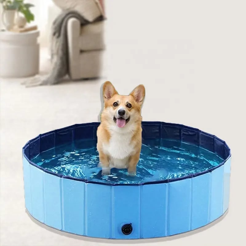 JUGUETE PERROS PISCINA PLEGABLE EXTERIOR DIVERSION RONDON HCC - 2