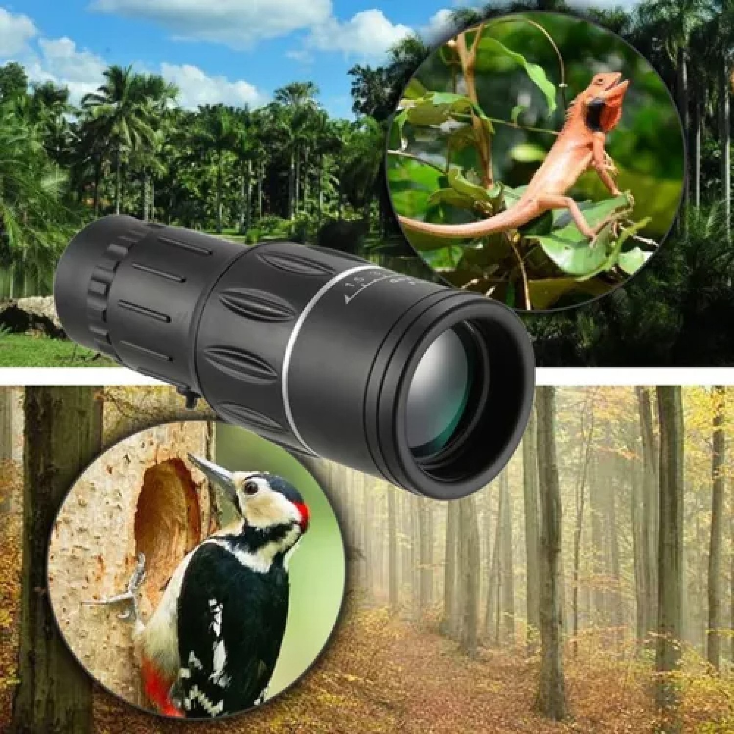 MONOCULAR HD COMPACTO DEFINICION ALCANCE PROFESIONAL RONDON - 3