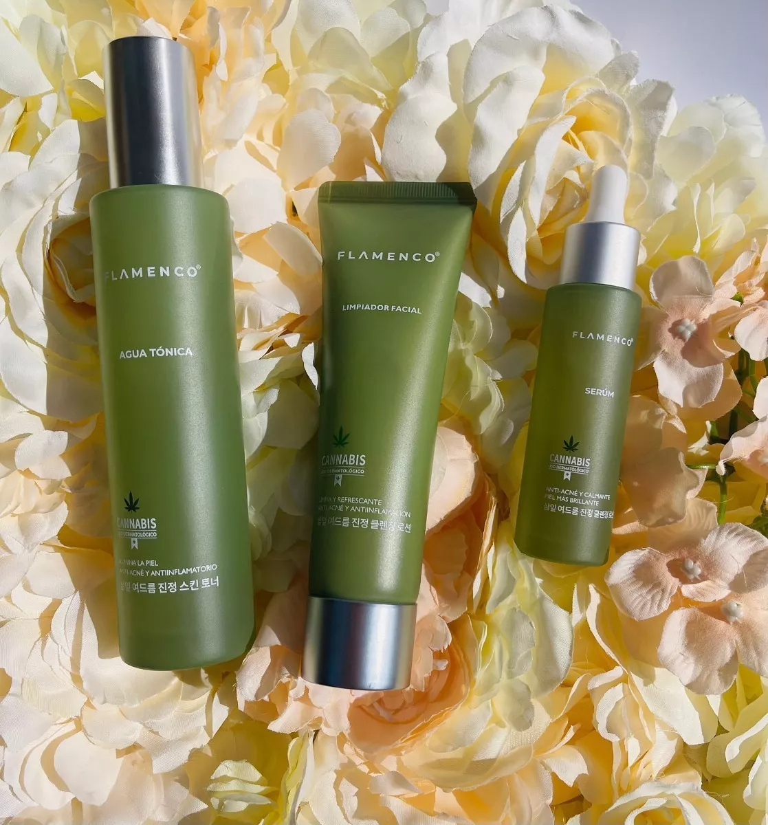 KIT SKINCARE ASTRINGENTE SEBOREGULADOR PIEL GRASA - 3