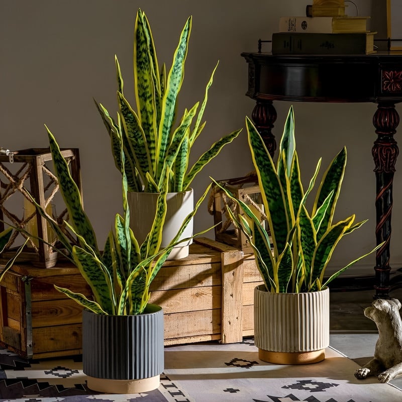 SET 2 FLOR PLANTA SERPIENTE HOGAR JARDIN TIENDA REALISTA LAU - 2