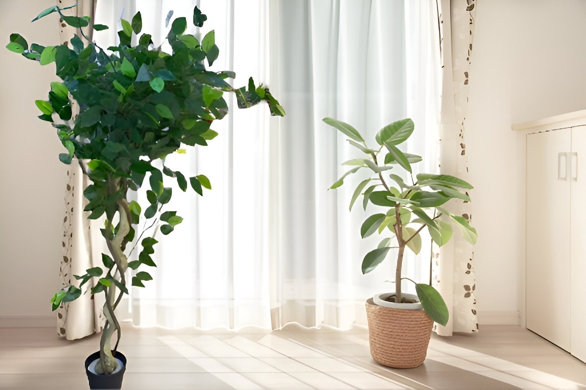 ÁRBOL ARTIFICIAL REALISTA FICUS TRENZADO 120CM JHN - 7