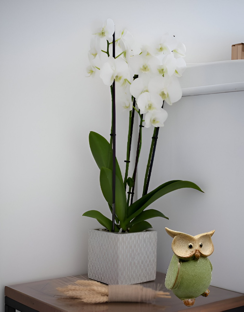SET DE 2 ESTATUA BÚHO CERÁMICA DECORATIVA HOGAR JHN - 5